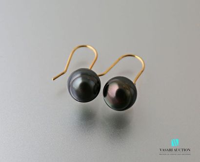 null Pair of yellow gold earrings 375 thousandths adorned with a Tahitian pearl Gross...