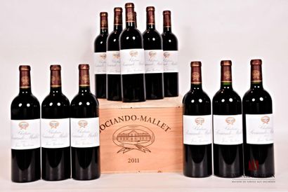 null 12 bouteilles	Château SOCIANDO MALLET	Haut Médoc	2011
	Présentation et niveau,...