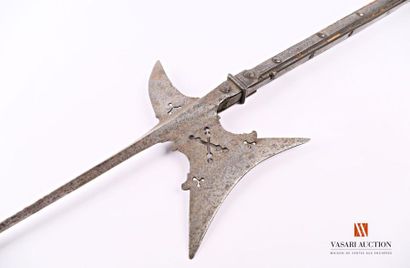 null Halberd iron with long estoc, long spike of square section, croc point and crescent...