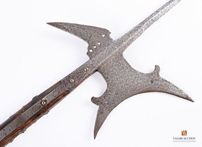 null Halberd with long estoc, long square section peak of 57 cm, croc toe and crescent...
