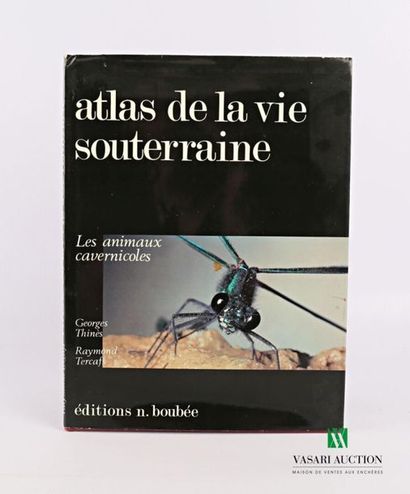 null THINES Georges & TERCAFS Raymond - Atlas de la vie souterraine. Les animaux...