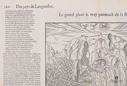 null [VAR]
François de Belleforest (1530-1583): "The great plant & vray would surround...