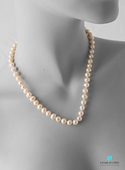 null Collier en perles d'eau douce légèrement rosé, le fermoir mousqueton en métal
Long....