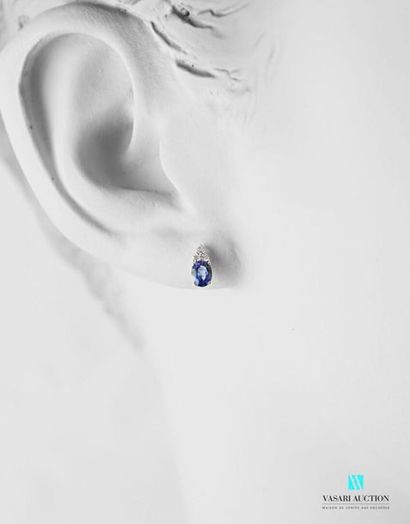 null Pair of 750 thousandths white gold earrings adorned with two sapphires surmounted...