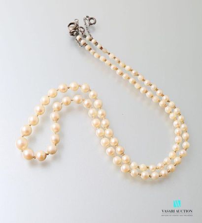 null Necklace of falling cultured pearls, silver clasp 925 thousandths with safety...
