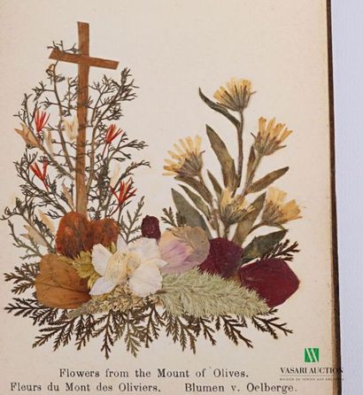 null ANONYMOUS - Flowers of the Holy land / Fleurs de terre sainte / Blumen aus dcm...