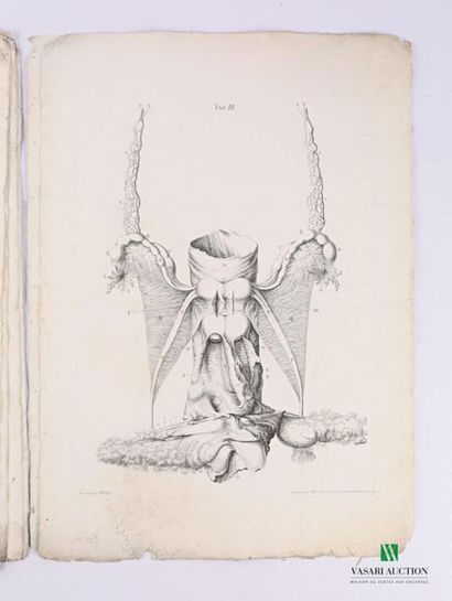 null GEORG HEINRICH
Tabulae Anatomicae Quator Uteri Duplicis - Observationem Rariorem...