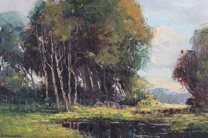  NOUGRAND G. Pond view Oil on canvas Signed lower left 24 x 33 cm Framed piece