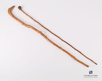 null Set including two canes made of burr wood, one with a pommel carved with a bird's...