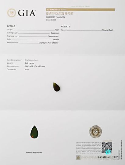 null Opale brune de forme poire cabochon sur papier de 3,40 carats avec son certificat...