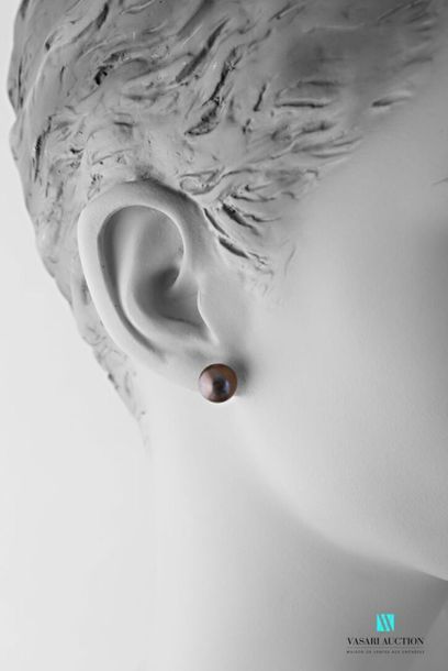 null Pair of earrings with 9-10.5 mm black freshwater pearls, Belgian silver stroller...