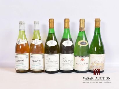 null Lot de 6 bouteilles comprenant :		
2 bouteilles	CHEVERNY mise Jean Puzelat Vit.		1983
2...