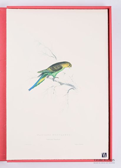 null Suite of eighteen colour lithographed plates depicting various breeds of parrots...