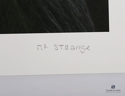 null MR. STRANGE (XXème siècle)

Evolution

Lithographie en couleurs

Numérotée 4/30...
