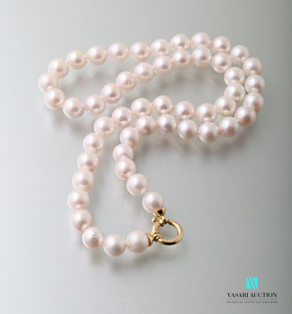 null Necklace composed of fifty-two 7.5/8 mm Akoya cultured pearls from Japan, the...