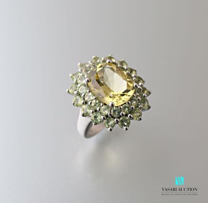 null Silver ring set with an oval-cut lemon quartz in a double green stone setting

Gross...