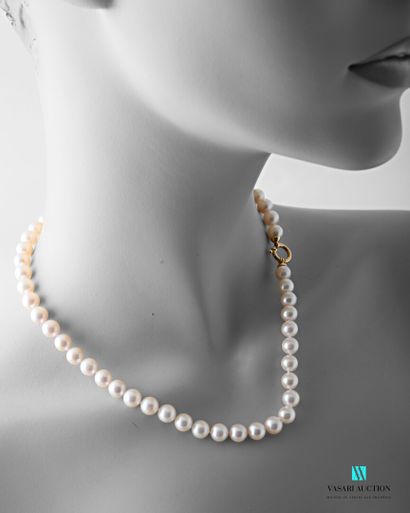 null Necklace composed of fifty-two 7.5/8 mm Akoya cultured pearls from Japan, the...