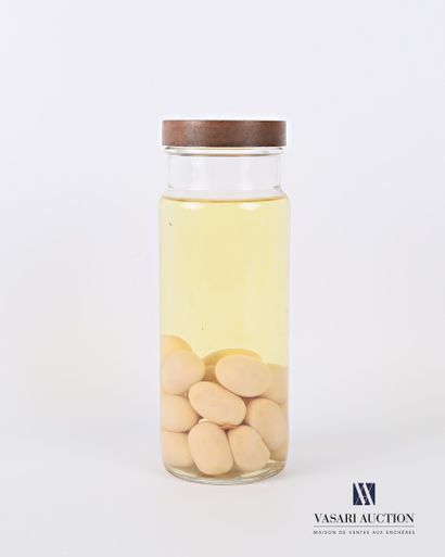 null Snake eggs (Snakes spp, unregulated) in wet storage in a jar.

Top. : 23 cm...