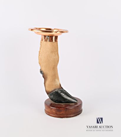 null Foot of antelope (Antilopinae spp., unregulated) surmounted by a copper ashtray...