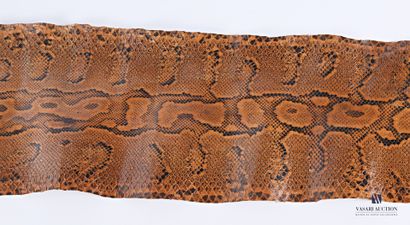 null Python sebae skins (Appendix II), For exports CITES will be charged to the buyer.

Length...