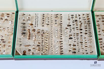 null Ensemble de trois boites d'entomologie, contenant une large collection de spécimens...
