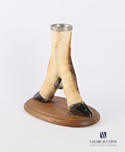 null Support consisting of two crossed antelope legs resting on a wooden base with...