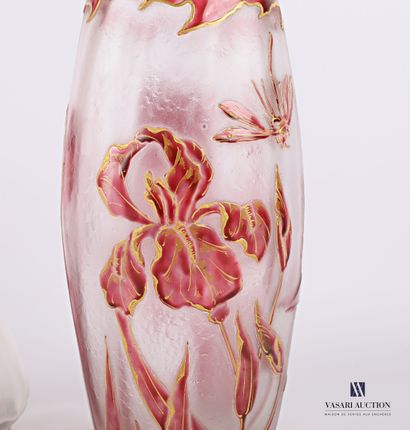null Oblong frosted glass vase with iris decoration and red enamelled dragonflies...