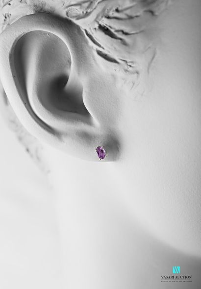 null Pair of white gold ear studs 750 thousandths set with two oval tanzanites, Belgian...