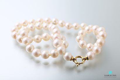 null Choker necklace adorned with fifty-four Akoya cultured pearls from 7 to 7.8...