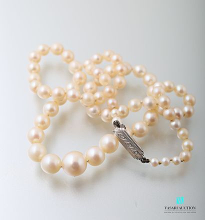 null Necklace of falling cultured pearls, white gold clasp 750 thousandths

Gross...