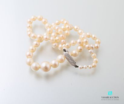 null Necklace of falling cultured pearls, white gold clasp 750 thousandths

Gross...