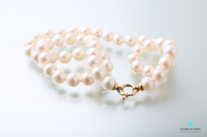 null Choker necklace adorned with fifty-four Akoya cultured pearls from 7 to 7.8...