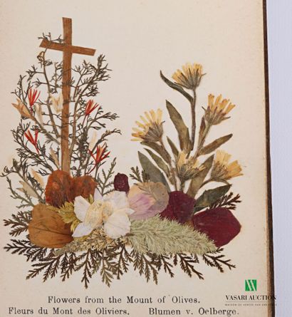 null ANONYME - Flowers of the Holy land / Fleurs de terre sainte / Blumen aus dcm...