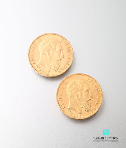 null Two 20 franc gold coins Leopold II, 1875

weight : 12,88 g