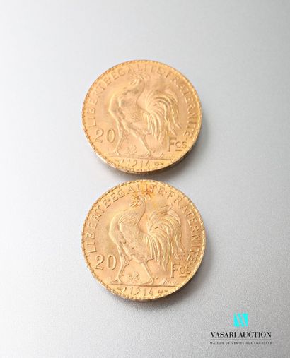 null Two 20 franc gold coins featuring Marianne and the Rooster after Jules-Clément...