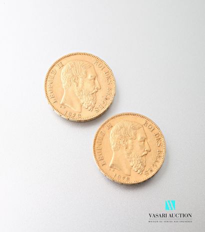 null Deux pièces en or de 20 francs Leopold II, 1878

Poids : 12,87 g