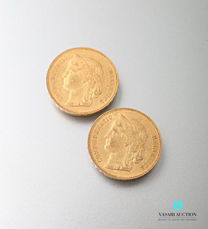 null Two 20 Swiss franc gold coins, Confederation, 1891

weight : 12,88 g