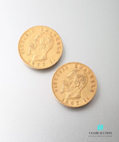 null Two 20 lira gold coins, Vittorio Emanuele II, 1863

weight : 12,84 g