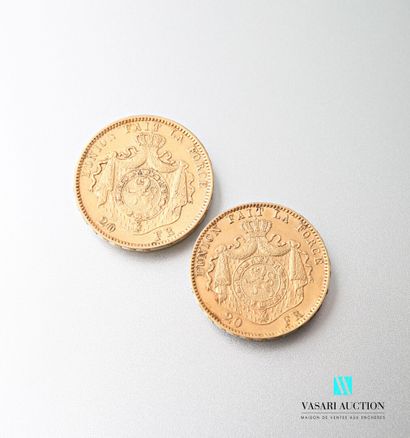 null Deux pièces en or de 20 francs Leopold II, 1877

Poids : 12,85 g
