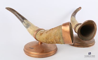 null Pair of domestic bovine horns (Bos taurus, not regulated), the mount in copper.

Height...