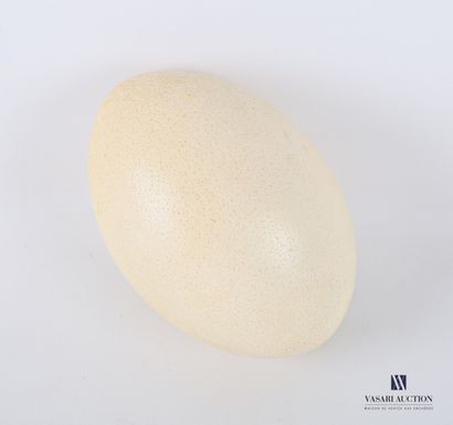 null Oeuf de Nandou (Rhea americana, non réglementé)

Haut. : 13,5 cm