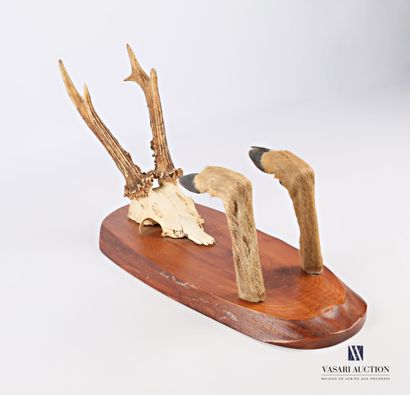 null Hat holder made of two deer legs and surmounted by a massacre of deer (Capreolus,...