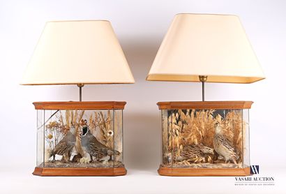 null Pair of lamp stands, the shaft presenting dioramas, one showing a pair of quail...