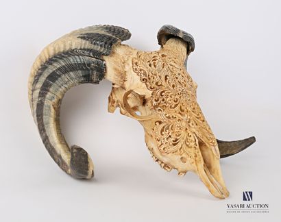 null Ram (Ovis aries, unregulated) with engraved skull and openwork scrollwork.

Height...