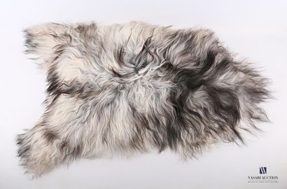 null Icelandic sheepskin (Ovis aries, not regulated) with exceptional wool length

Length...