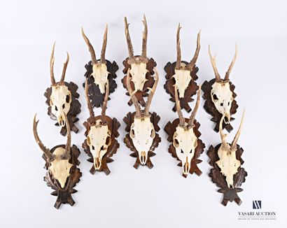null Series of ten roe deer (Capreolus, capreolus) massacres on carved wooden escutcheon...