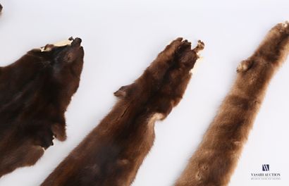 null Set of four mink skins (Neovison mink, not regulated) 

Length : from 58 to...