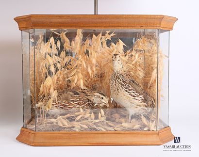 null Pair of lamp stands, the shaft presenting dioramas, one showing a pair of quail...