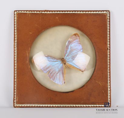 null Square frame with a circular view containing a butterfly, the leather frame...