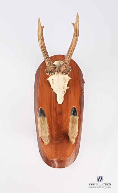 null Hat holder made of two deer legs and surmounted by a massacre of deer (Capreolus,...